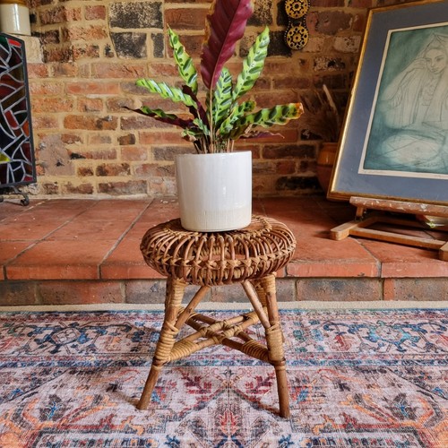 Mid century franco albini - century,