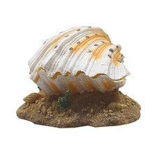 Small fish tank decorations - small,