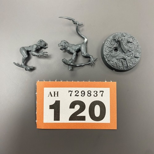 Mange blackpowder buccaneers - mange,