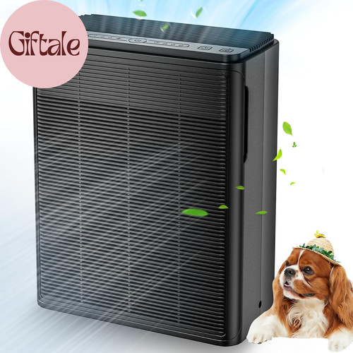Air purifier for home large - air,