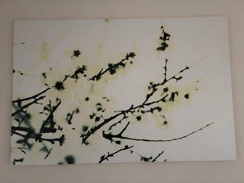 Large canvas nature - canvas,