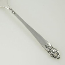 Oneida DISTINCTION Silver