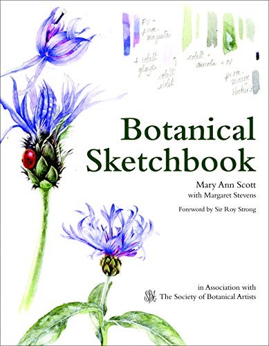 Botanical sketchbook drawing - botanical, sketchbook: