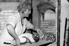 Potter Maisie Seneshall 4x6