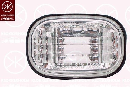 Direction indicator light - light, for