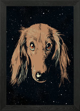 Dachshund dog face Framed Wall