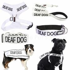 Dexil DEAF DOG Worded Dog