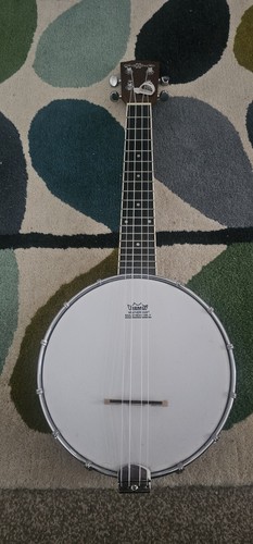 Remo banjolele string - banjolele,