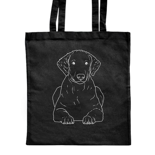 Curly coated retriever - 'curly,