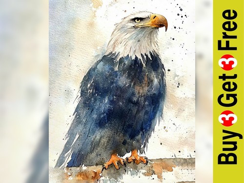 Bald eagle majesty print - bald,