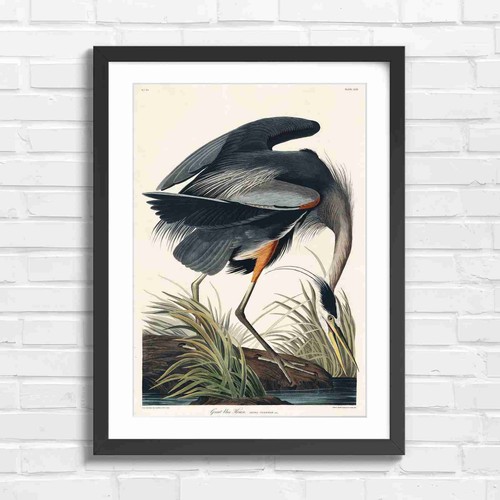 Vintage great blue - blue, heron