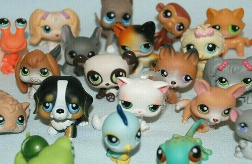 Littlest pet shop generation - shop, 1