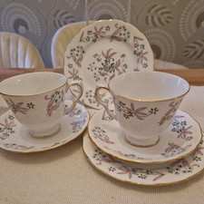 Colclough Adam 8366 Tea Cups