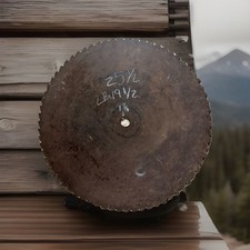 VTG ANTIQUE 25+LARGE SAWMILL