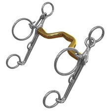 Neue Schule Warmblood Show