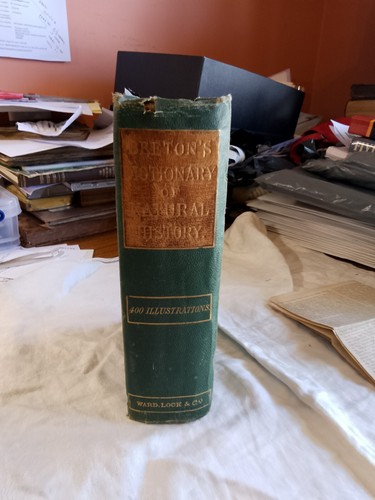 Beeton dictionary natural - beeton's,