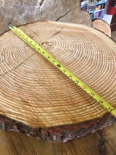 Rustic log slice - 18"(46cm),