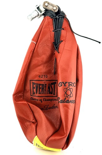 Vintage everlast 4210 gyro - vintage, #4210