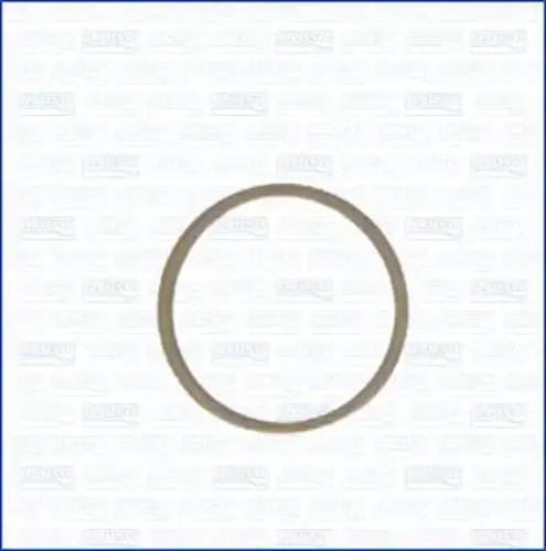 Seal ring oil drain - ring,,