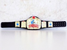 WWE MATTEL EUROPEAN CHAMPIONSHIP WRESTLING FIGURE TITLE BELT ELITE WCW WWF