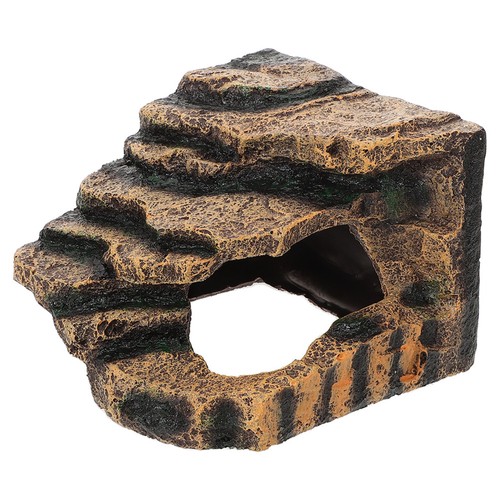 Turtle climbing rack tortoises - climbing,