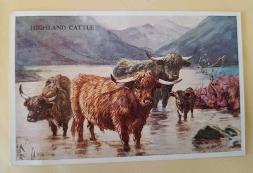 Mabel gear postcard - gear, highland