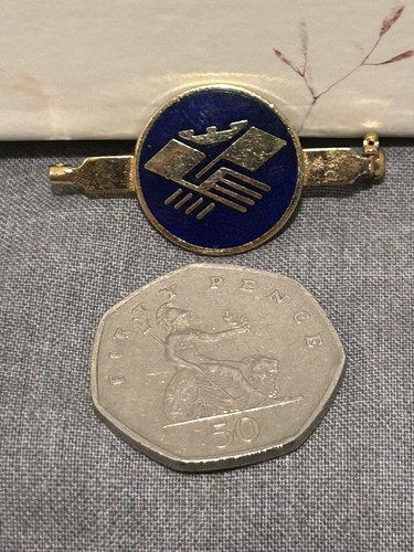 Nursing trade union badge - nursing,