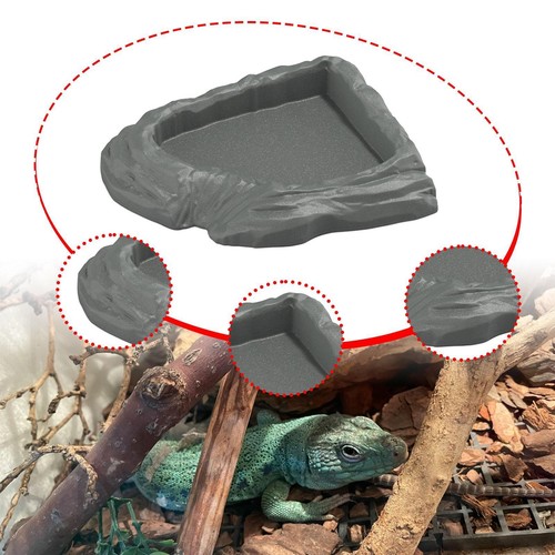 Reptile water dish corner - water,