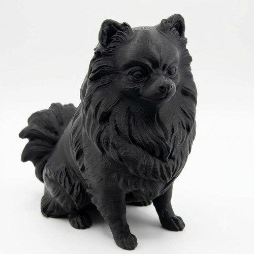 Pomeranian spitz dog statue - pomeranian,