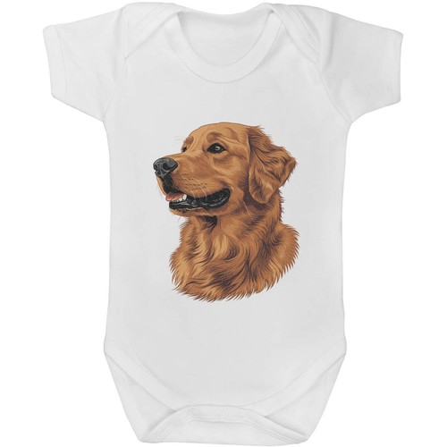 Golden retriever portrait - retriever, portrait'
