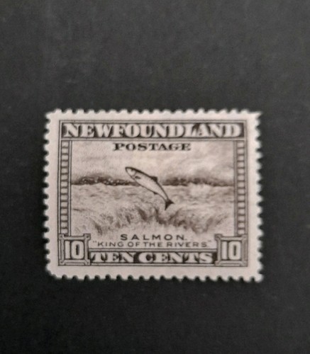 Newfoundland stamp 1932 - mh,