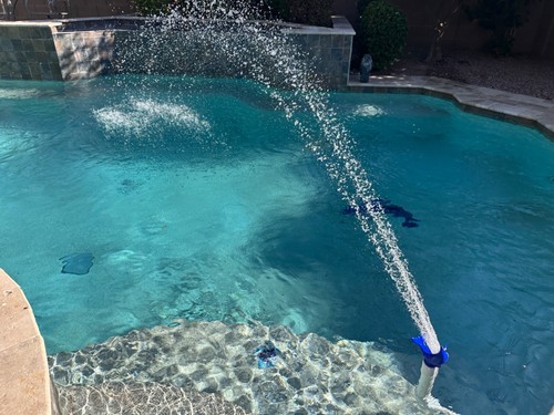 Dolphin pool fountain - pool,
