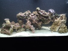 Marine Aquarium Live Rock. TMC Eco Rock. Approx 23kgs.