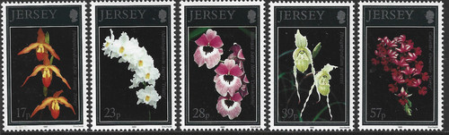 1993 jersey 613 617 orchids - sg,