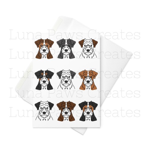 Parsons jack russell - jack,