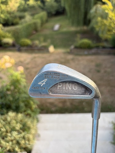 Ping karsten black dot - i,