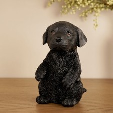Best of Breed Black Labrador Puppy Dog Ornament Figurine