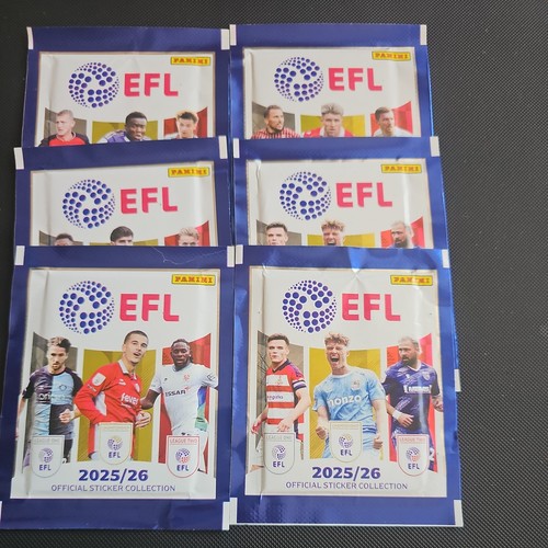 Sealed packs panini efl - packs,