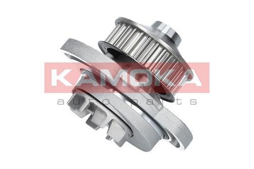 Kamoka t0254 water - t0254, pump
