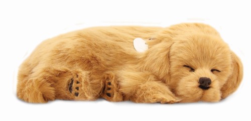 Precious petzzz breathing - precious,