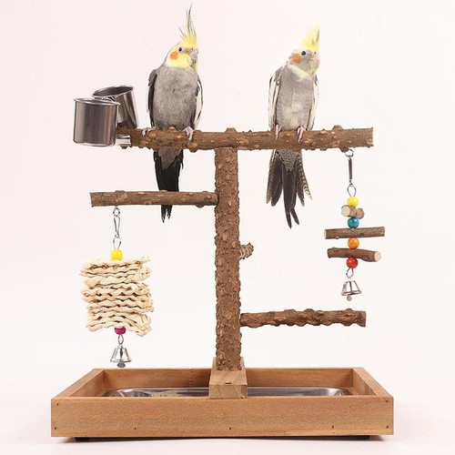 Wood parrot perch - perch, with