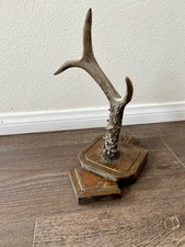 Decorative Deer Antler Mounted
