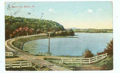 Belfast maine beaver - maine,,