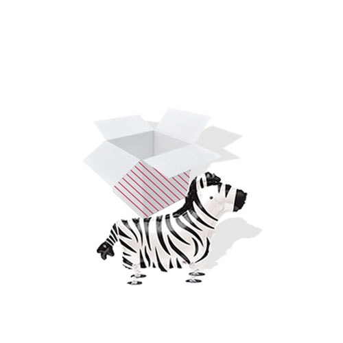 Zebra walking pet - zebra, helium