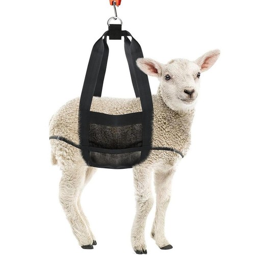 Calf sling for - calf, weighing