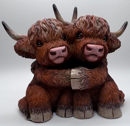 Highland cow hug - highland,