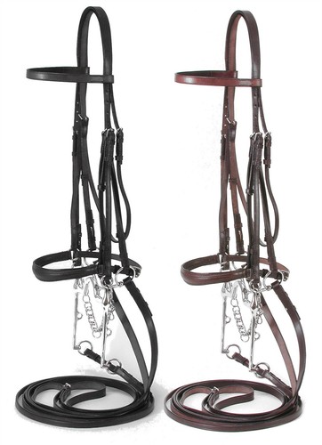 English bridle weymouth show - english,
