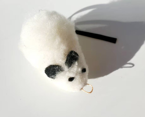 Soft molly mouse cat kitten - soft,