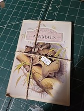 Fine Arts Postcards Animals