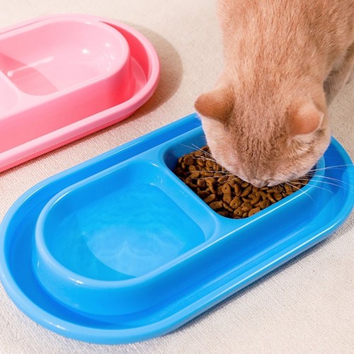 Non slip dogs - dogs, cats